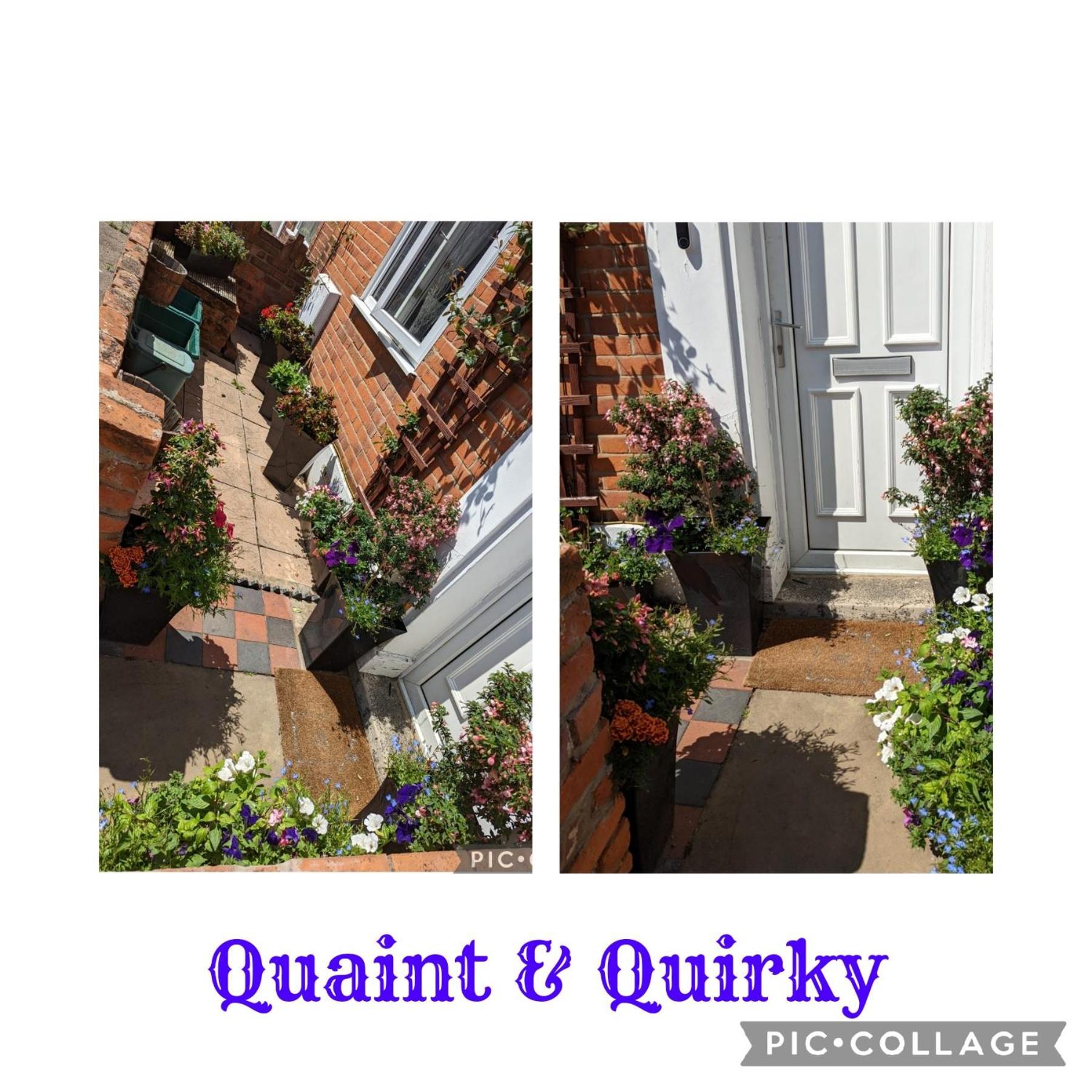 Quaint & Quirky House Colchester Town Centre المظهر الخارجي الصورة